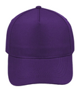 5 Panel Promo Cap